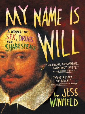 My Name Is Will - ebook